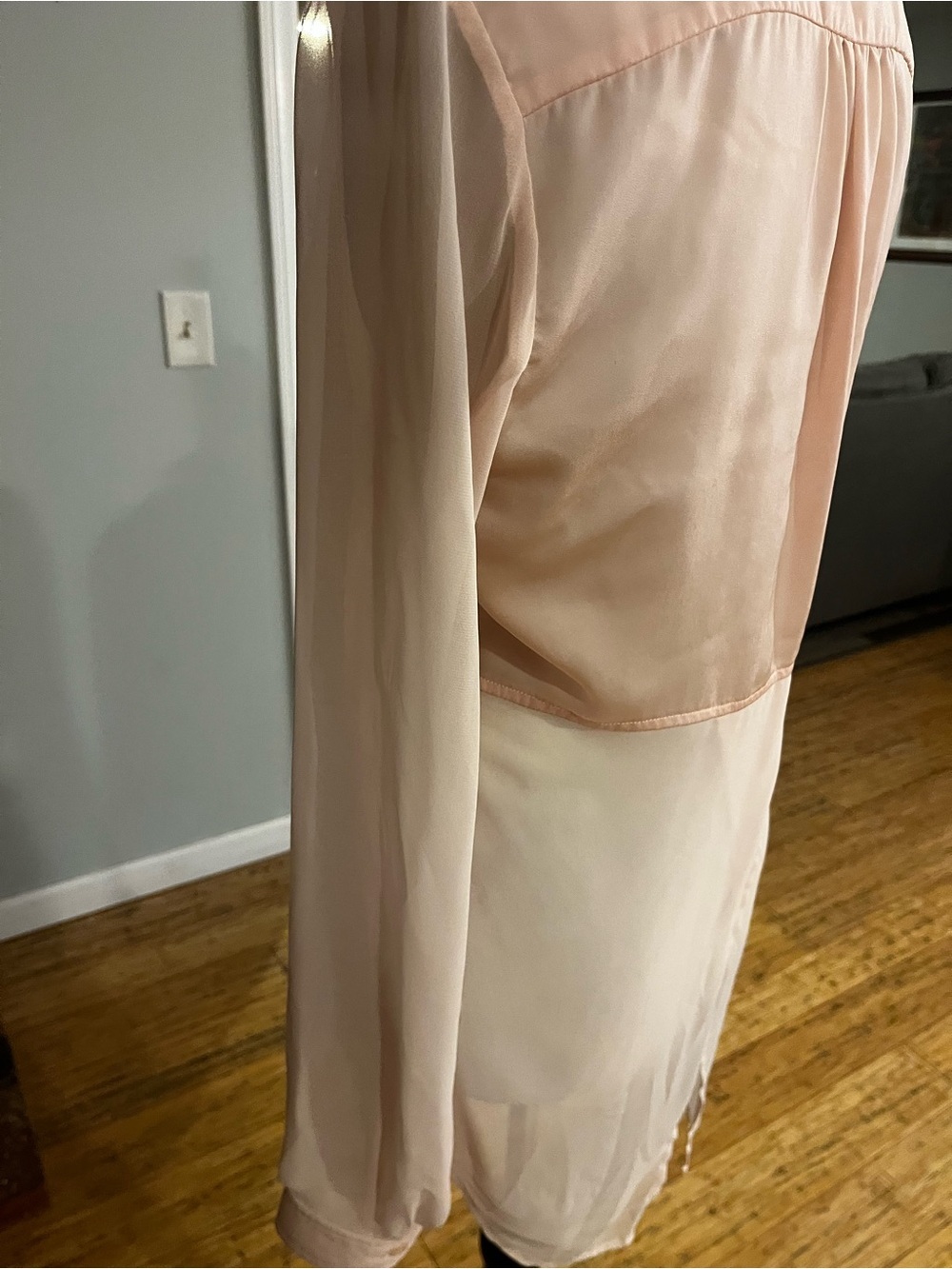 Free People ptp 19 Pink Sheer Button-Down Blouse - Picture 6 of 7